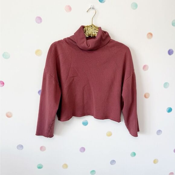 American Eagle Outfitters Dusty Rose Turtleneck Sweater - Picture 1 of 3